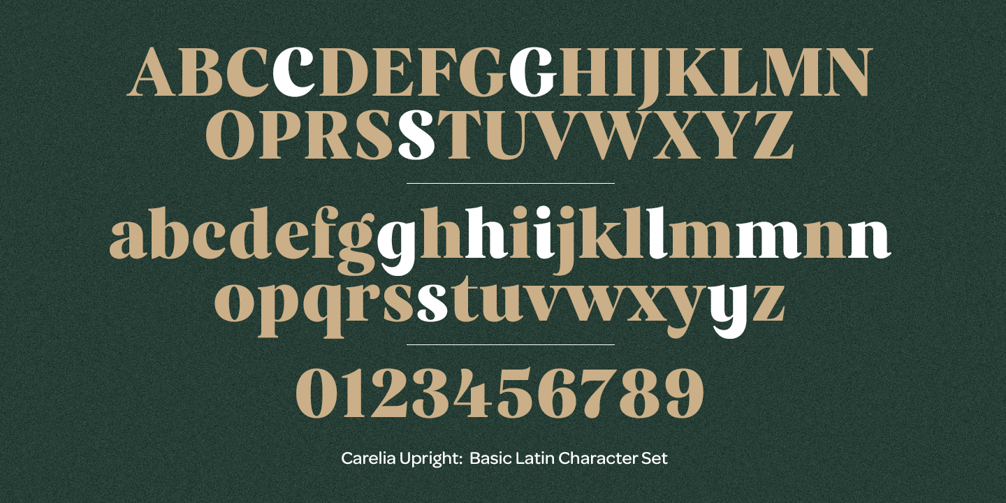 Przykład czcionki Carelia Italic